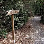 Alpstuga Boshuisje Viva L'ardenne - 122 *