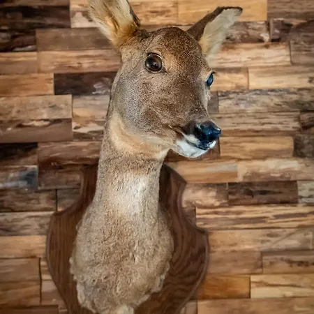 Boshuisje Viva L'ardenne - 122 *