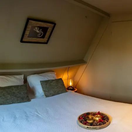 Boshuisje Viva L'ardenne - 122 Chalet