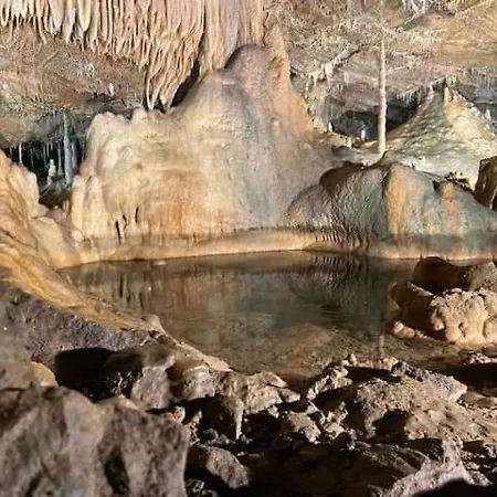 Boshuisje Viva L'ardenne - 122 Chalet *