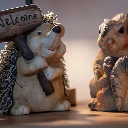 Chalet Boshuisje Viva L'ardenne - 122 *